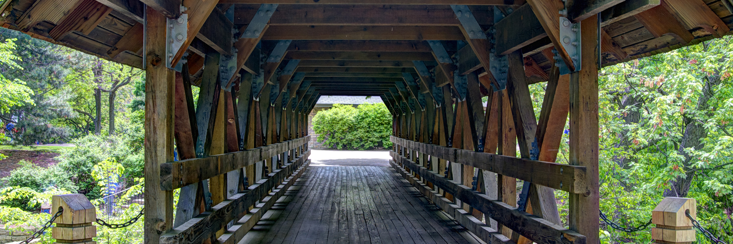 Banner image of Naperville