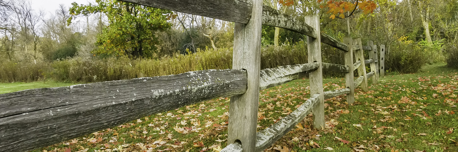 Banner image of Oak Brook